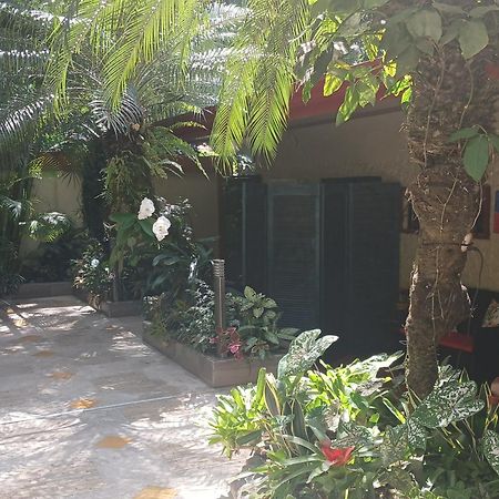 Coyaba Tropical Elegant Adult Guesthouse Nationalpark Nationalpark Manuel Antonio Exterior foto