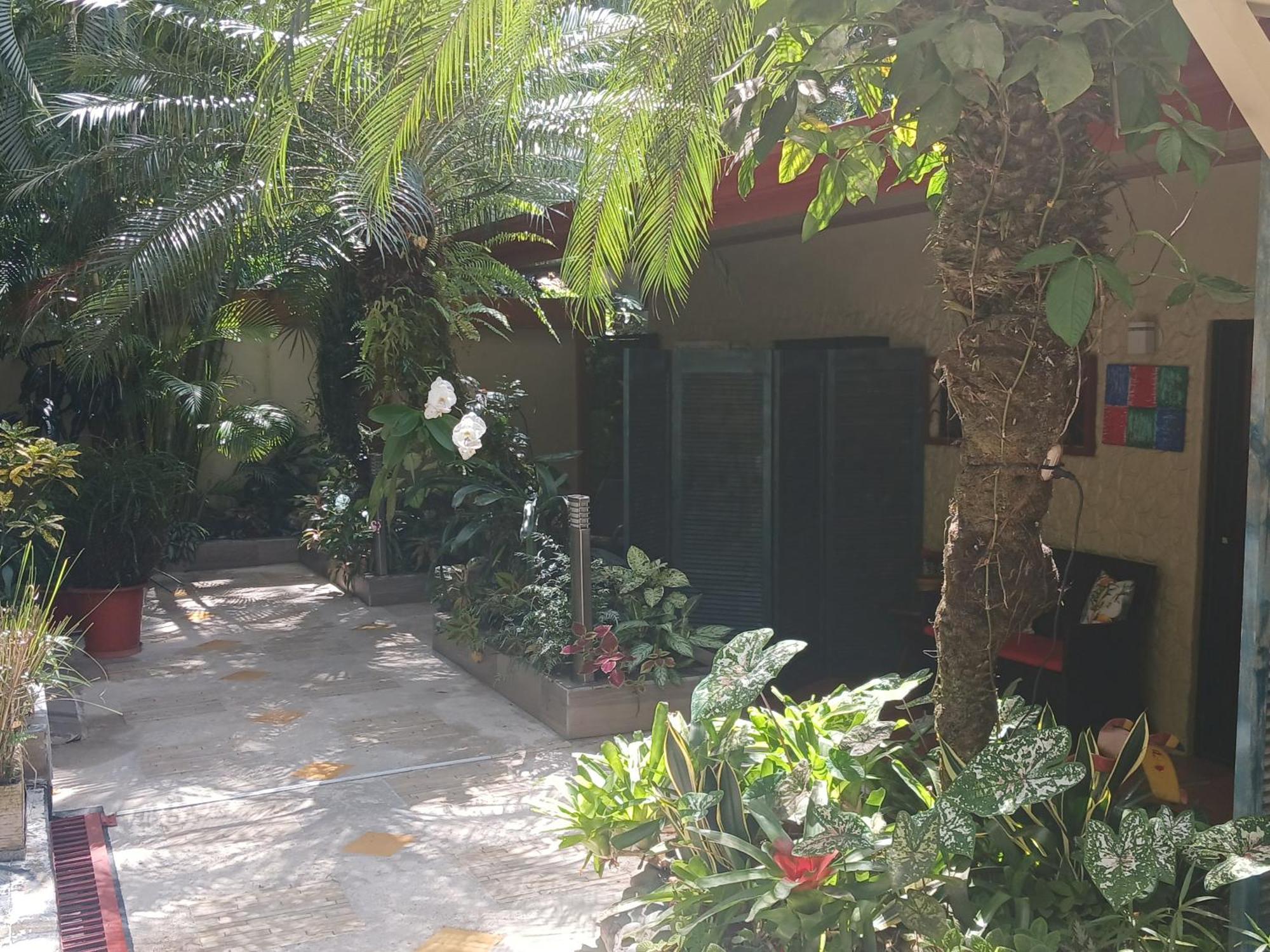 Coyaba Tropical Elegant Adult Guesthouse Nationalpark Nationalpark Manuel Antonio Exterior foto